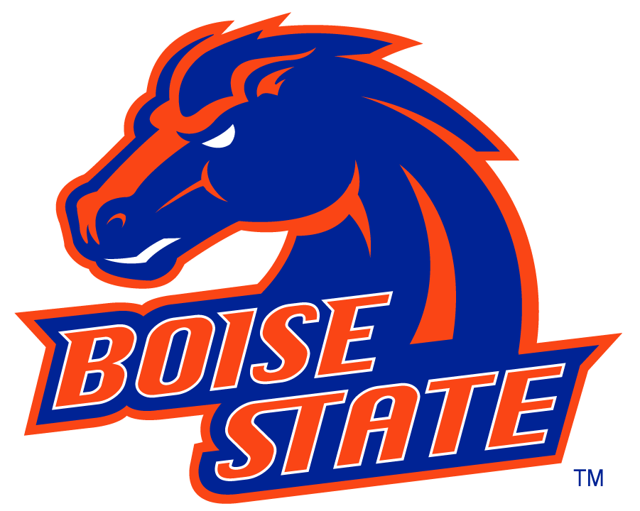 Boise State Broncos 2002-2012 Alternate Logo v5 DIY iron on transfer (heat transfer)